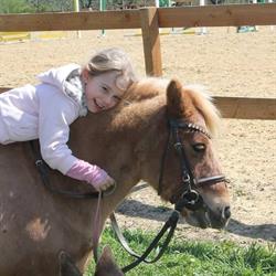 Pony Club Hollytree