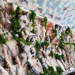 Pescheria da Ciro