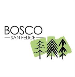 Bosco San Felice di Cicerale