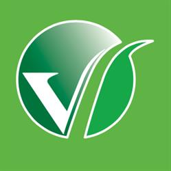 V.I.P. GROUP S.R.L.