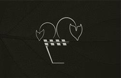 Wild Vision Studio
