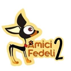 Amici fedeli 2