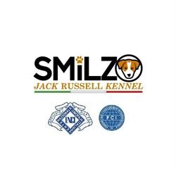 Smilzo Jack Russell