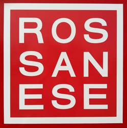 Rental Solutions Rossanese