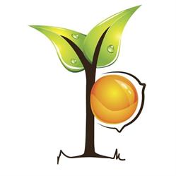 Samperi, azienda agricola biologica