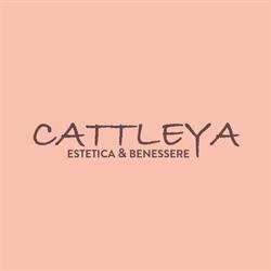 Cattleya