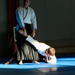 Aikishinrei Dojo Aikido