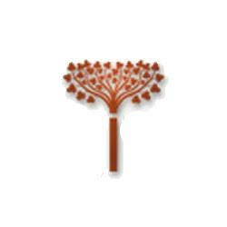 Compraporte