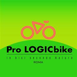 Logic Bike