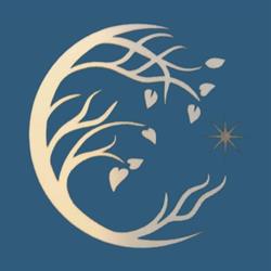 Art Moon - Hair and Beauty Center