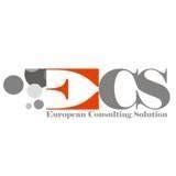 European Consulting Solution s.r.l.
