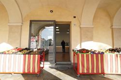Le Primizie Frutta e Verdura