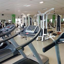 Palestra BODY LINE SRL