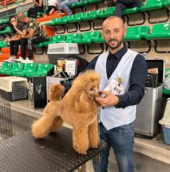 Toelettatura Catania di Giuseppe Benigno