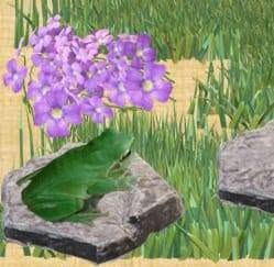 le jolie jardin Vivaio
