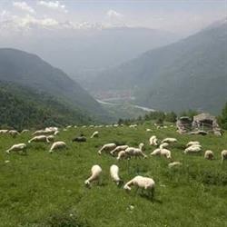 Azienda Agricola 3 Effe