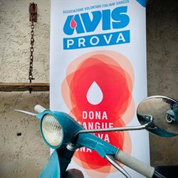 Sede Avis Prova