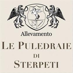 Le Puledraie di Sterpeti