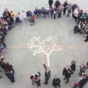 Scuola dell'Infanzia Provera Nido integrato I Cuccioli