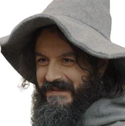 Il Grigio Viandante