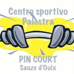 Pin Court