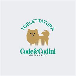 Code e Codini