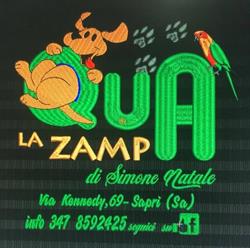 Qua La Zampa