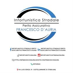 Infortunistica Stradale Perito Assicurativo Francesco D’Auria