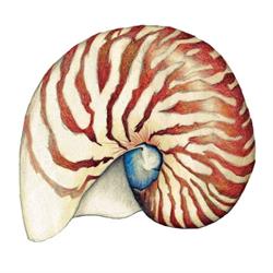 Nautilus Restaurant