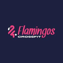 4 Flamingos CrossFit