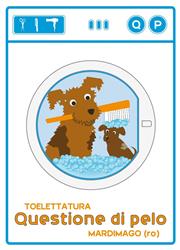 Toelettatura Questione di Pelo