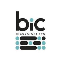 BIC Incubatori FVG S.r.l.