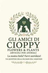 Gli Amici di Cioppy Bari