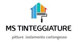 MS TINTEGGIATURE