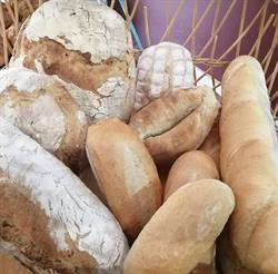 I Sapori del Grano