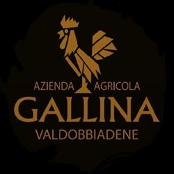 Azienda Agricola Gallina Claudio