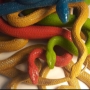 Serpenti