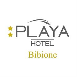 Hotel Playa