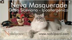 Allevamento Nobilpazzi di Susanna Malacrida