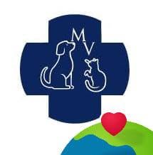 CLINICA VETERINARIA MINNI VET