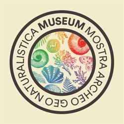 Museum. Mostra archeo geo naturalistica di Tarcento