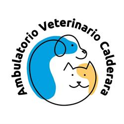Ambulatorio Veterinario Calderara