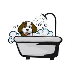 Dog Shower Point Silvi