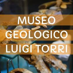 Museo Geologico Luigi Torri