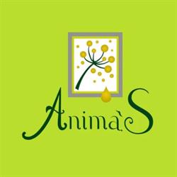 Elicriso Anima's
