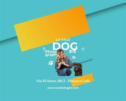 LA VALE DOG PHOTOGRAPHY