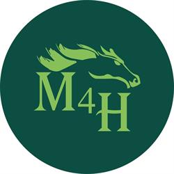 MASTER 4 HORSE (M4H) di Artemisia srls