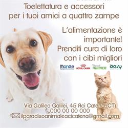 Il paradiso Animale