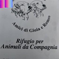 Fondazione Gioia e Romeo ONLUS