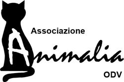Gattile Oasi Felina Pesaro - Animalia Odv